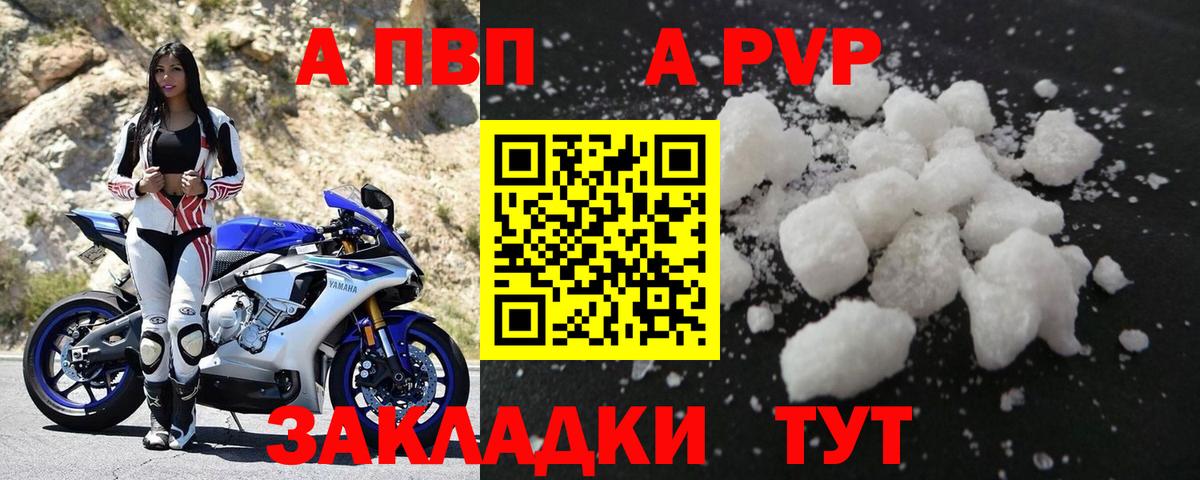 A PVP Гусев